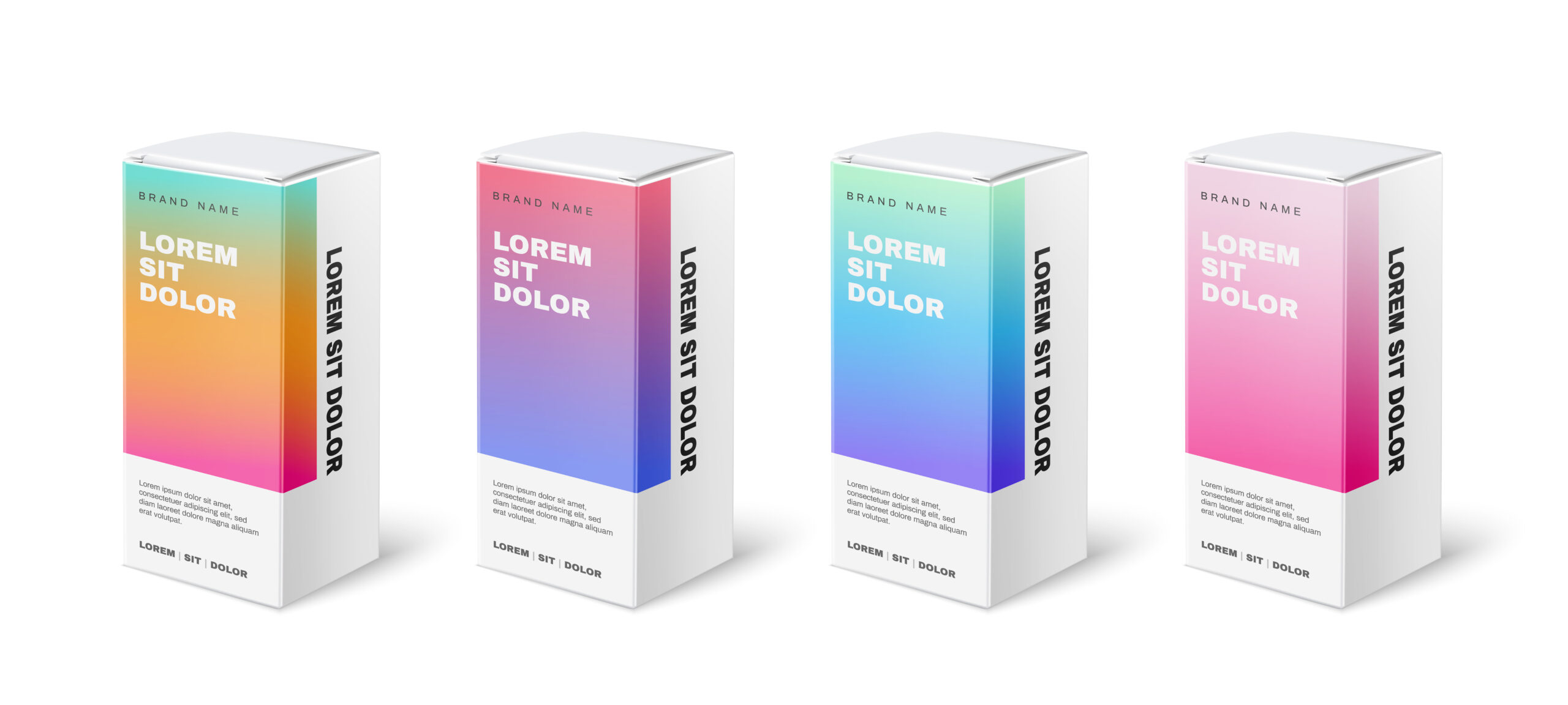 Packaging Box